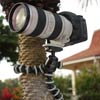 Gorillapod Ballhead in a tree