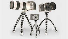 Gorillapod family