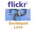 Flickr Gorillapod Pool